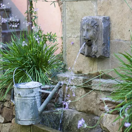 Tranquil Villa, Minutes To Lucca * Capannori